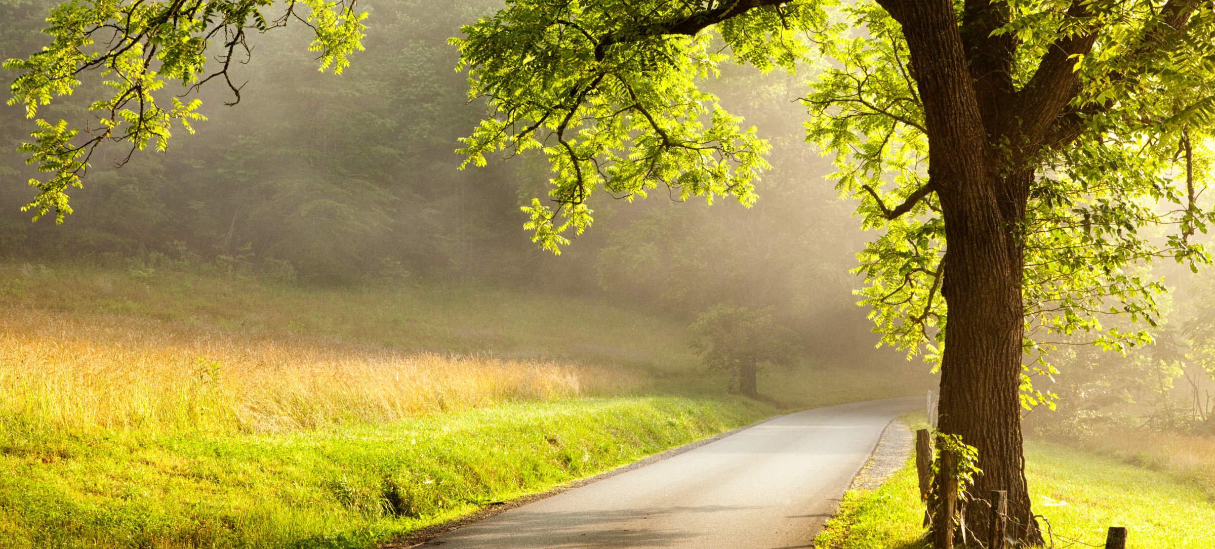 09 | Your Journey - BrandSource